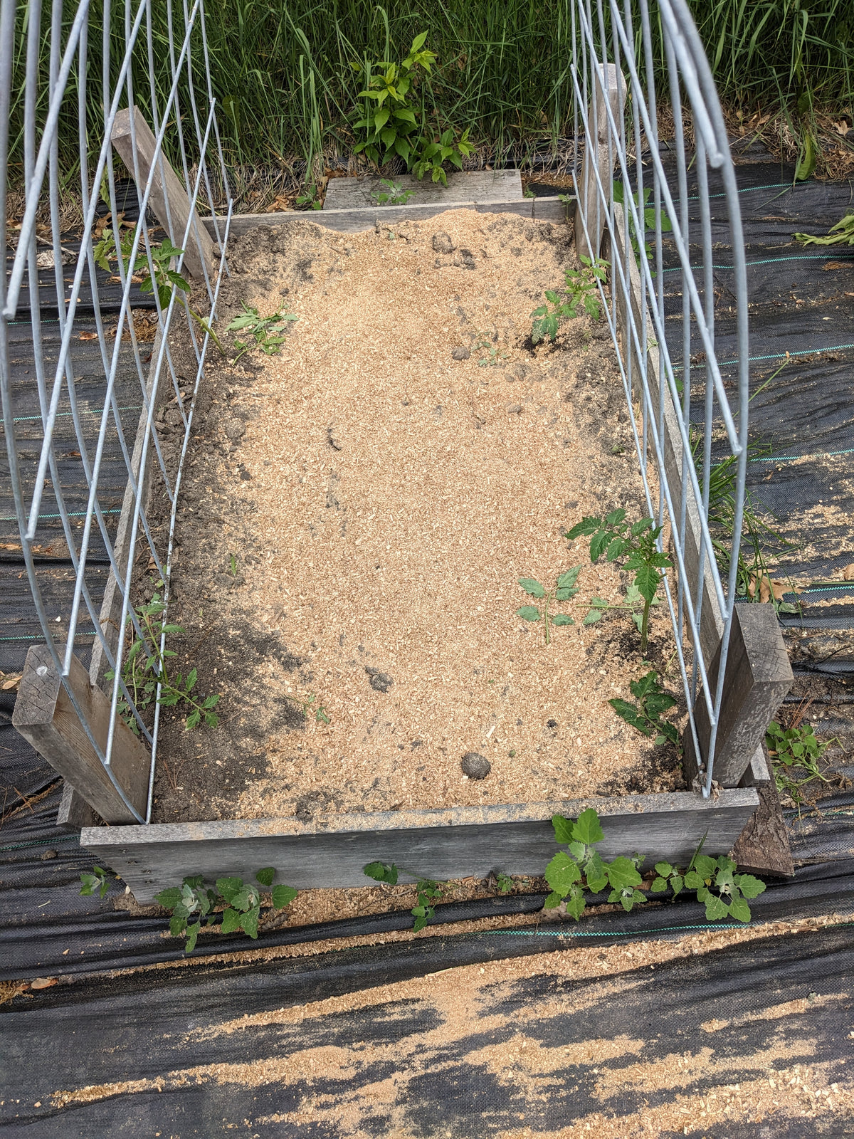 z  Animal Bedding Organic Woodchips